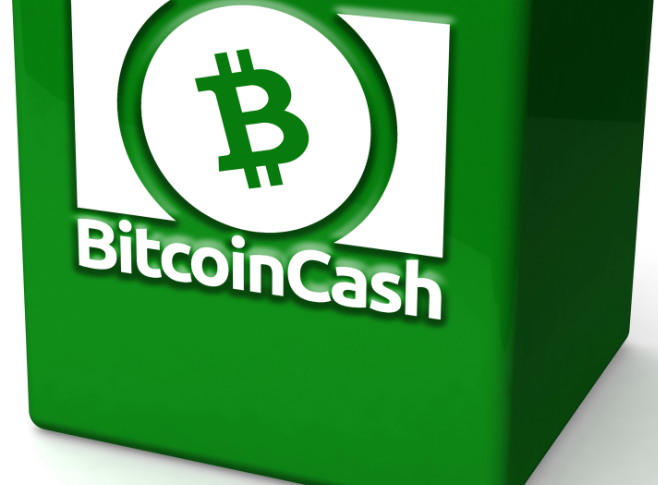 Bitcoin Cash (BCH)