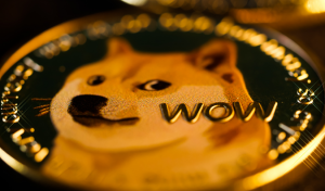 Shiba Inu