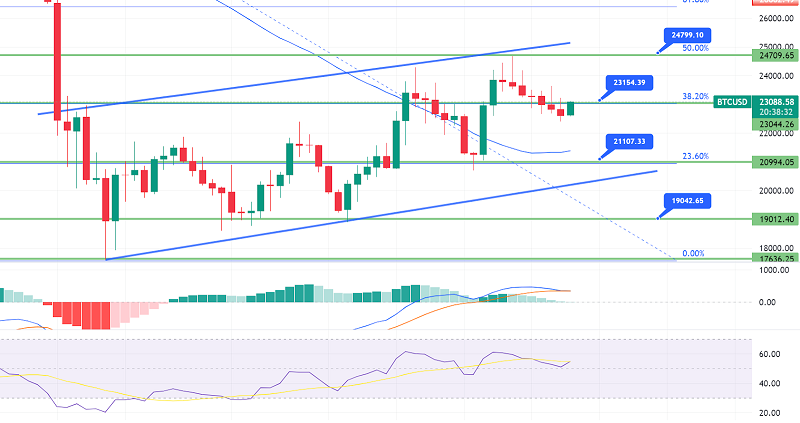 Bitcoin Regains $23,000 - Why Could BTC Target $24,500 Today?
