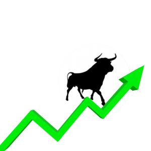 Bull market