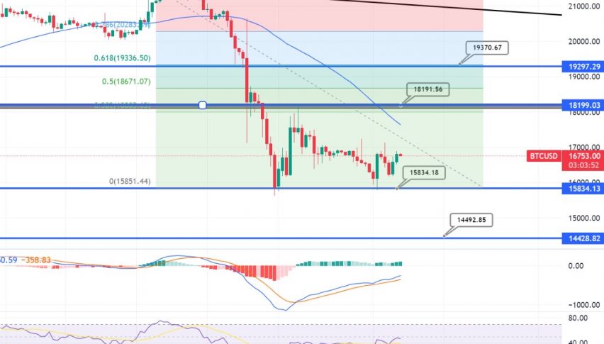 Bitcoin Standstill Near $16,700 - Daily Technical Outlook