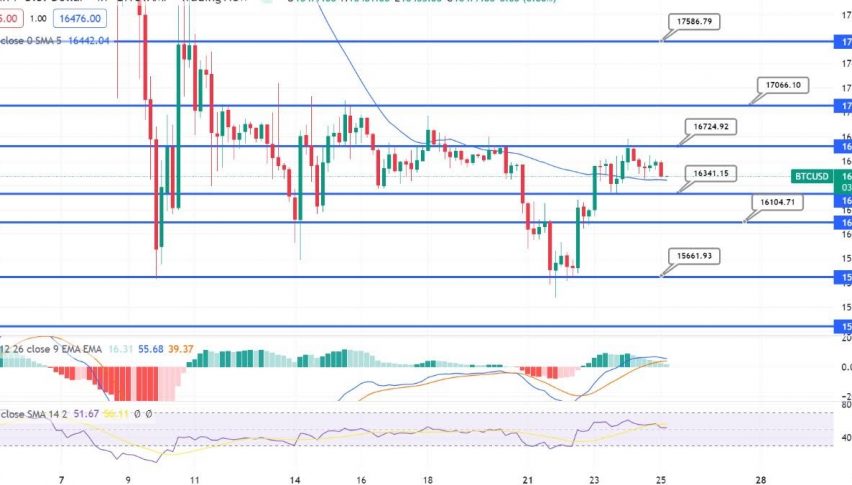 Bitcoin Struggles Under $17,000 - Quick Daily Outlook