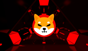 Shiba Inu