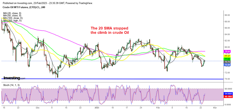 Selling Crude Oil On Major EIA Inventory Buildup - Forex News By FX Leaders