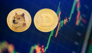 Meme Coin