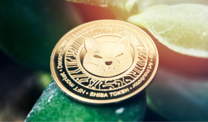 Meme Coin