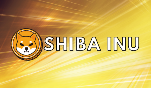 Shiba Inu