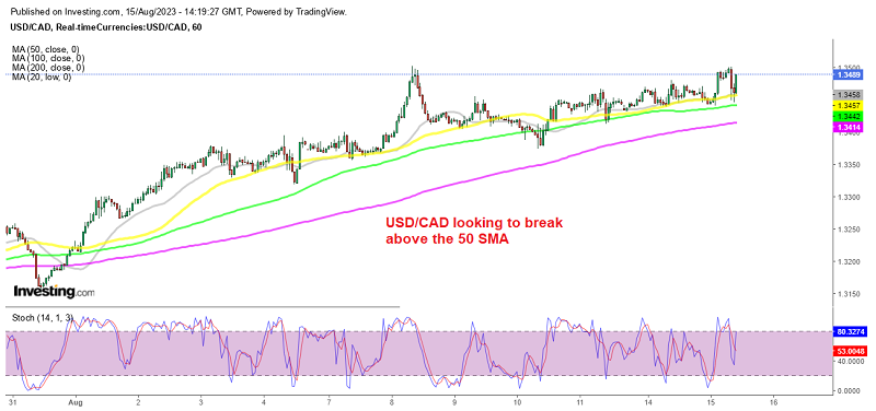 The 50 SMA held as support