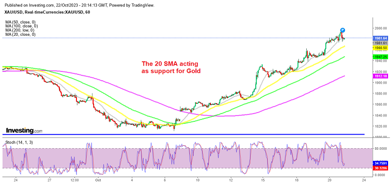 Smaller MAs keeping Gold supported on H1 chart