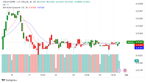 India's Interim Budget: A Tightrope Walk with Global Markets Watching