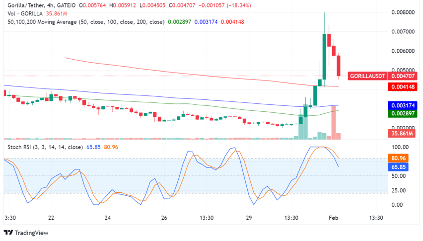 Gorilla Meme Coin Surges 75%, Fueled by Hype and Gorilla Pad Utility