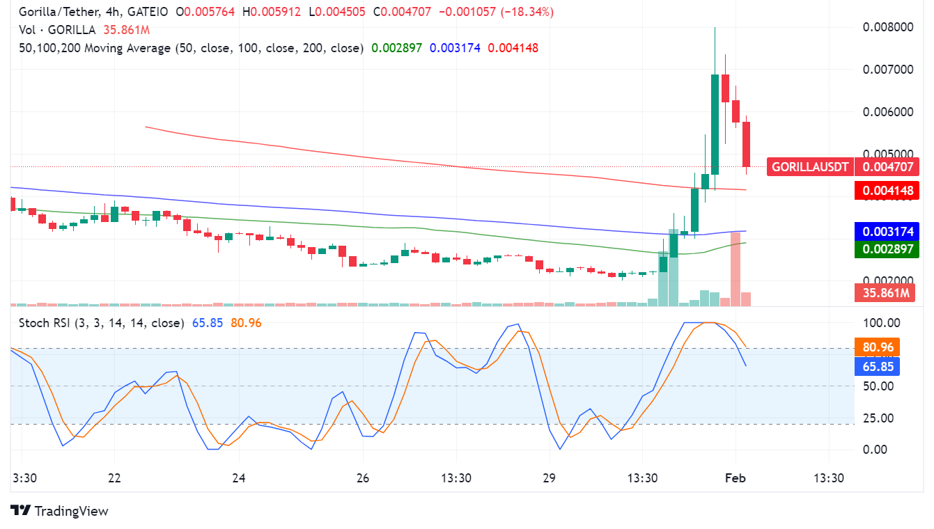 Gorilla Meme Coin Surges 75%, Fueled by Hype and Gorilla Pad Utility