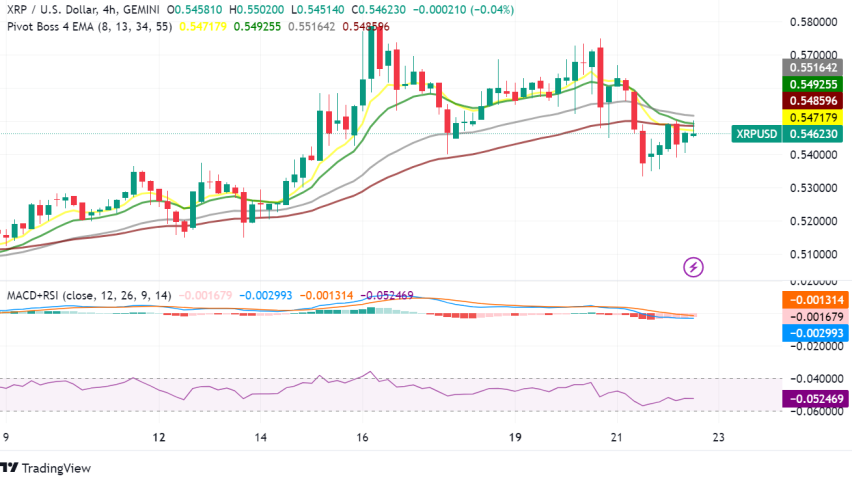XRP Trading: Key Points Before You Dive In