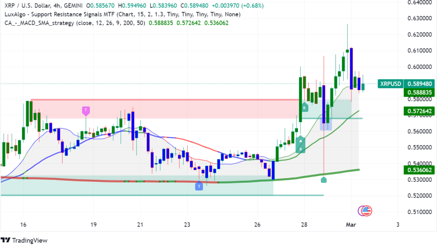 Top 5 Things to Know Before Trading XRP Today
