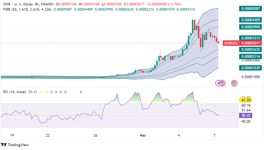 Shiba Inu (SHIB) Price Drops But News Hints at Incoming Rally: Should You Buy?