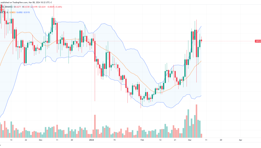 XRP price daily chart for March 8
