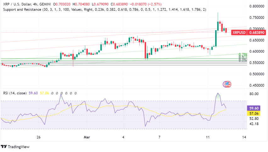 XRP Ticks Higher on Whale Activity, Bullish Sentiment, and Tokenization Hype