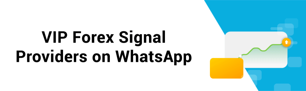 VIP Signal Providers WhatsApp