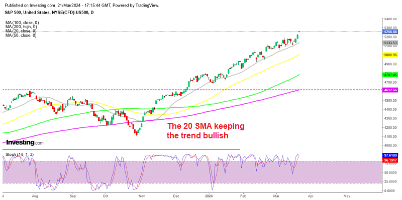 S&P 500 Daily Chart