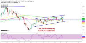 USD/CAD Bullish Channel in the Daily Chart