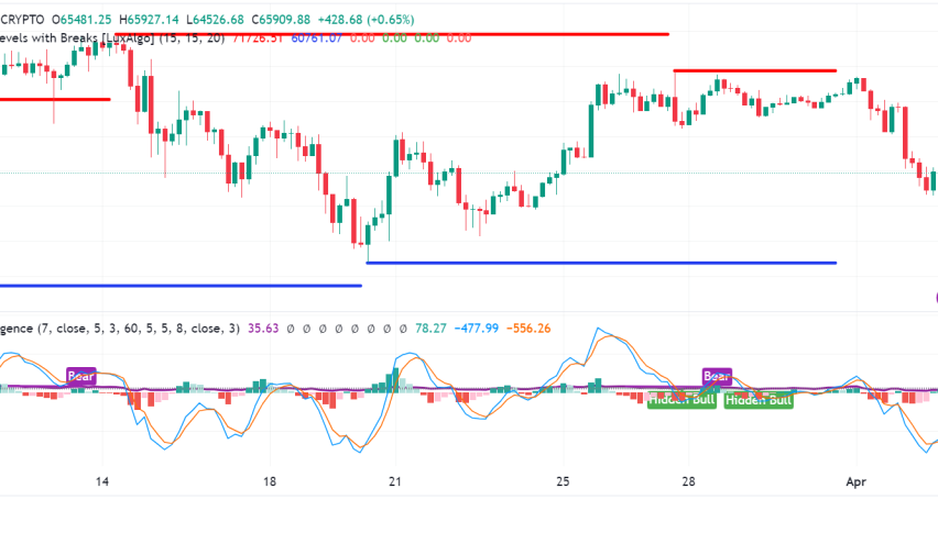 Bitcoin Tumbles: Should You Panic Sell or Hold Tight?