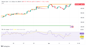 Bitcoin Cash (BCH) Price Swings After Halving, Analysts Eye Bullish Signs