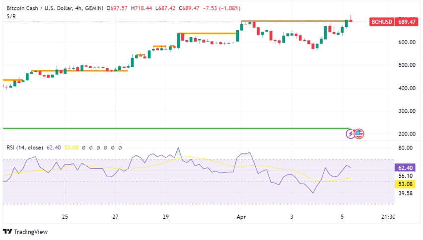 Bitcoin Cash (BCH) Price Swings After Halving, Analysts Eye Bullish Signs