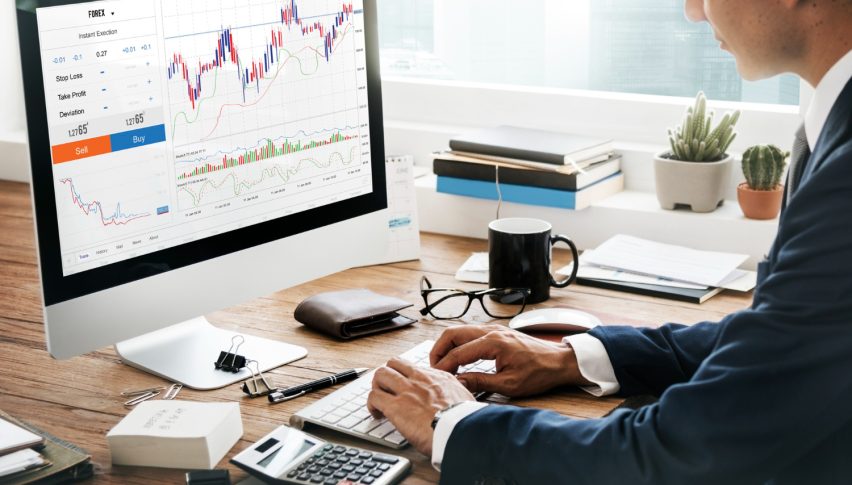10 Highest Dividend Stocks to invest in