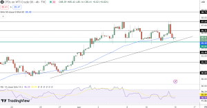 WTI Crude Price Chart - Source: Tradingview