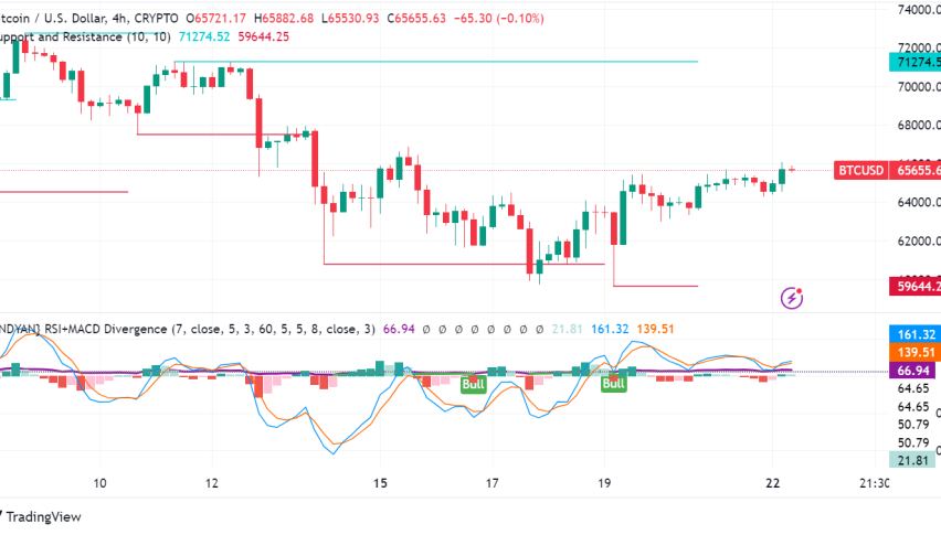 Bitcoin Price Stalls After Halving, Eyes Resistance at $66,000