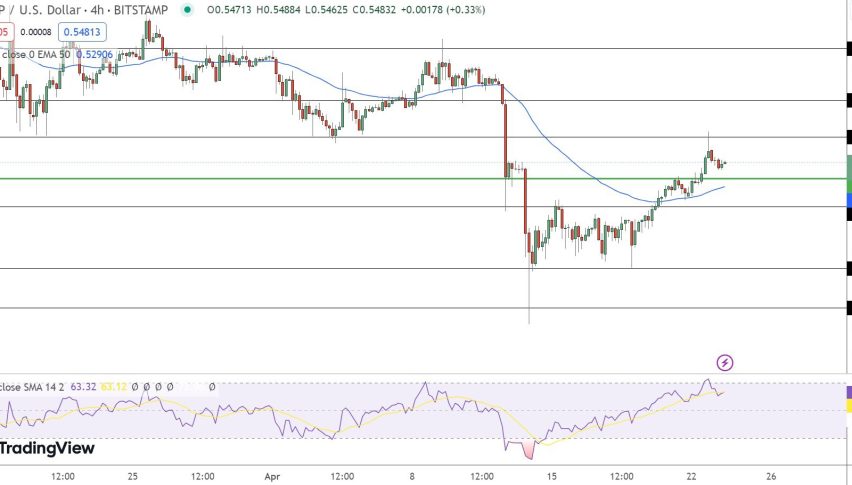 XRP Price Chart - Source: Tradingview