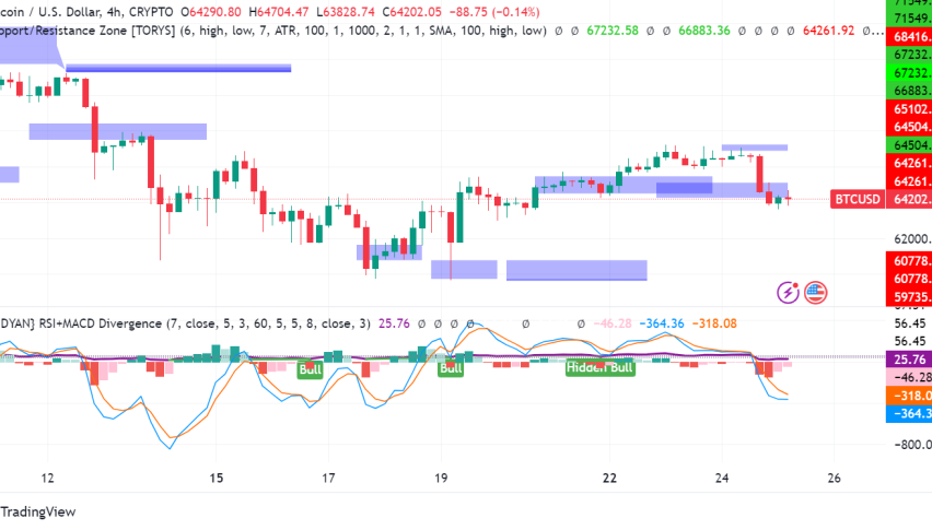 Bitcoin: Poised for Takeoff or Headed for a Correction?