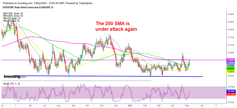 EUR/GBP Daily Chart