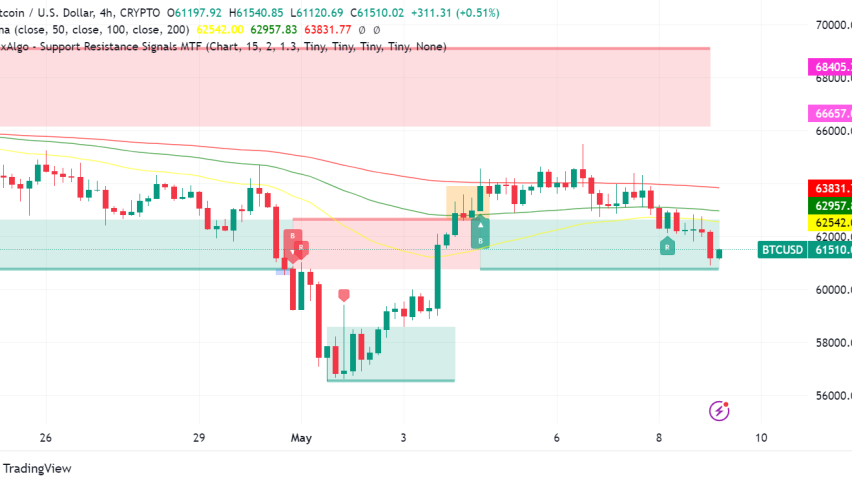 Bitcoin: Bullish Flags and Whale Activity Amidst Market Volatility
