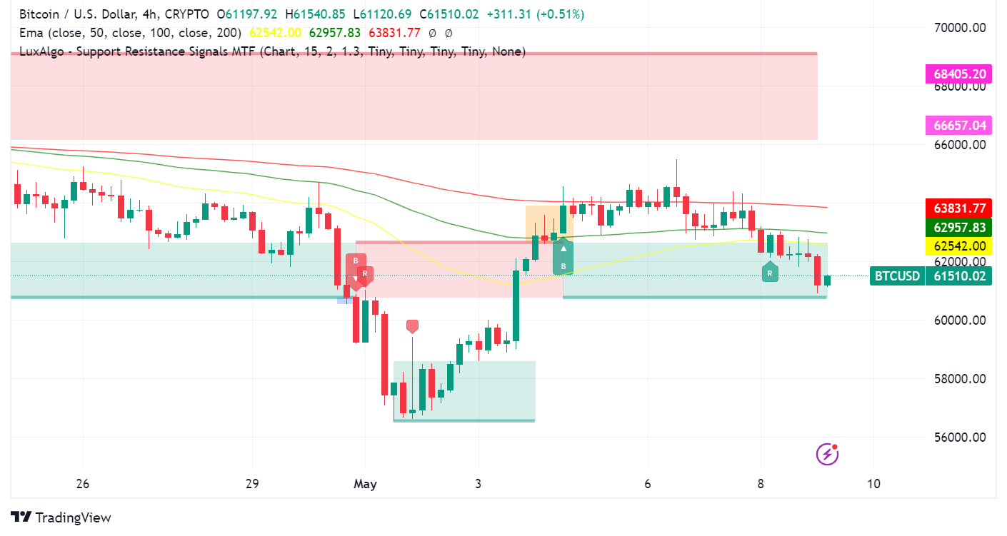 Bitcoin: Bullish Flags and Whale Activity Amidst Market Volatility