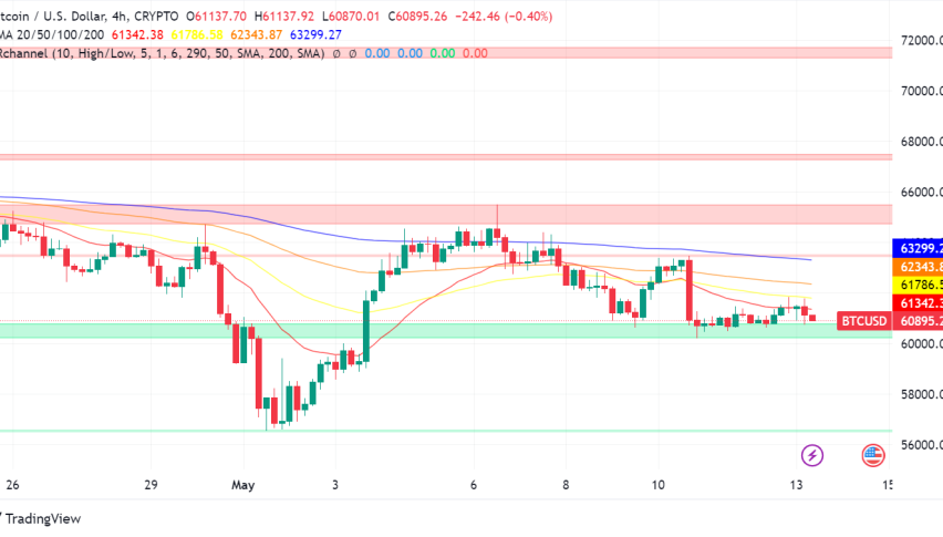 Bitcoin Stumbles After Failed Breakout Attempt, Whales Make Big Moves