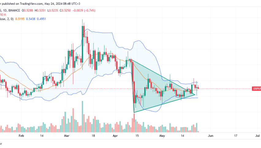 XRP daily chart for May 24