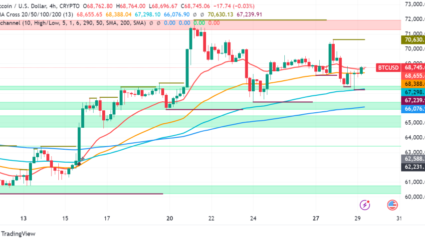 Bitcoin Market Update: Mixed Signals Amidst Mt. Gox Jitters