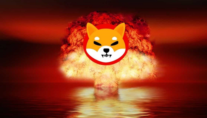 Shiba Inu