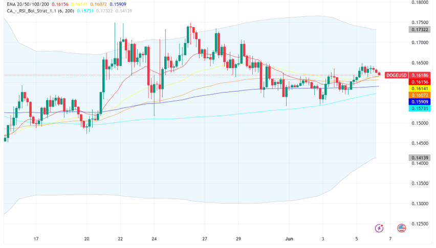 Dogecoin Surges as Institutional Investors Join the Memecoin Craze