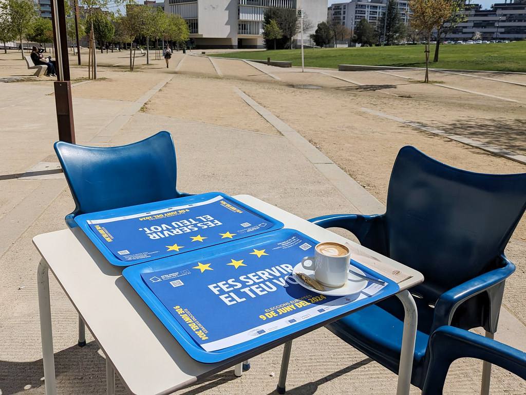 2024 European Election results suggest instability for the Euro