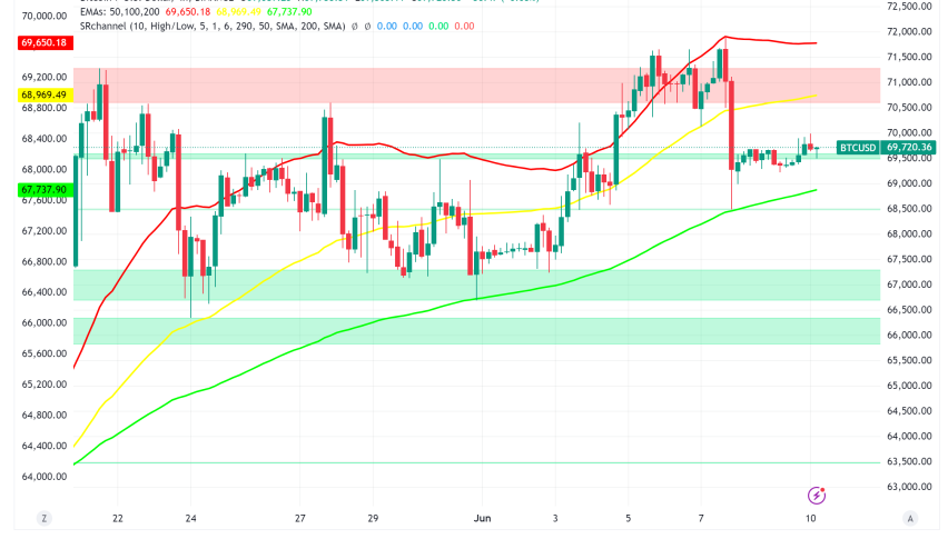 Bitcoin Whales Accumulate, But Mixed Signals Emerge for King Coin