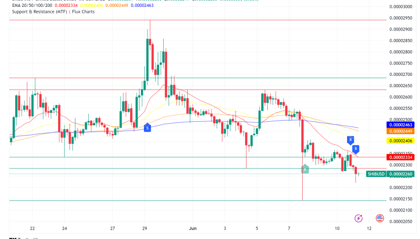 Shiba Inu: FHE Integration for Privacy, Token Burns Spike but Price Falters
