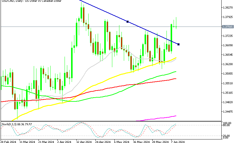 USD/CAD Daily Chart