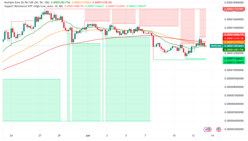 Memecoins Make a Splash Despite Market Dip