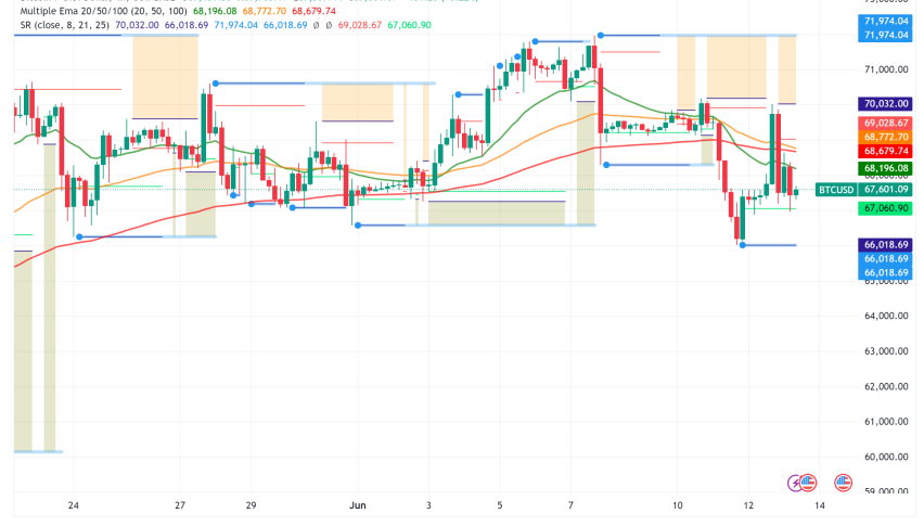 Bitcoin Whales Accumulate as Price Dips, ETFs See Mixed Signals