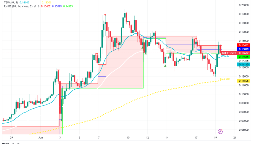 Froggy Frenzy: Brett Coin Leaps Forward, Can it Maintain Momentum?
