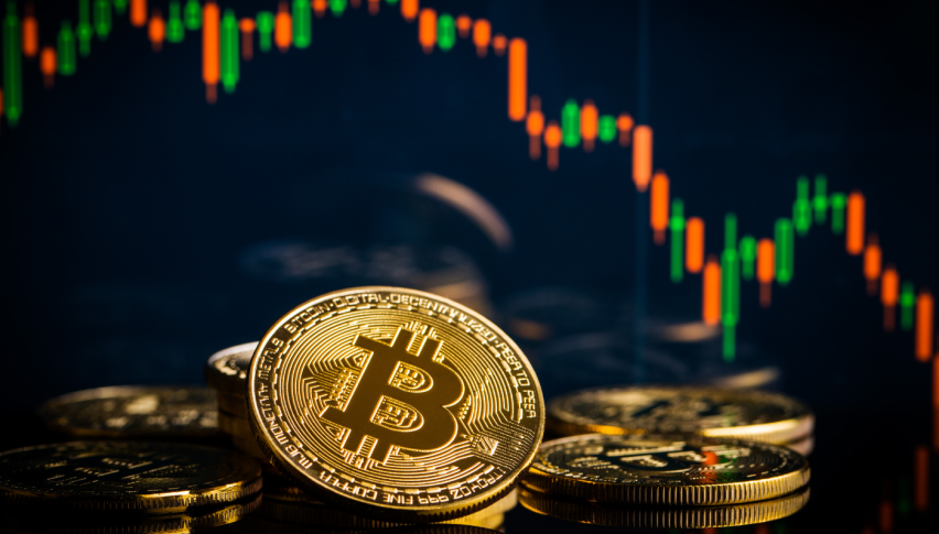 Buyers Keep Returning the Price at the Highs
