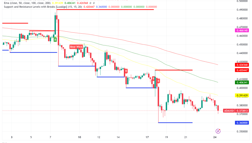 Cardano Activity Spikes Despite Bearish Market, Prepares for Chang Hard Fork