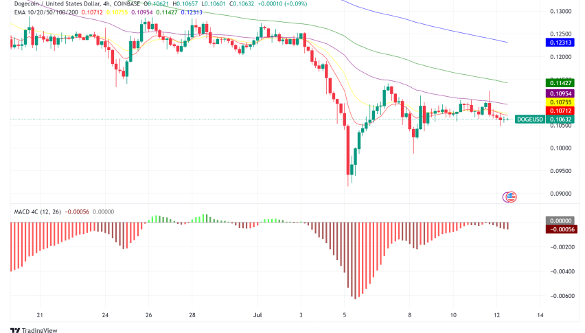 Dogecoin (DOGE) Stumbles Despite Bullish Whale Activity